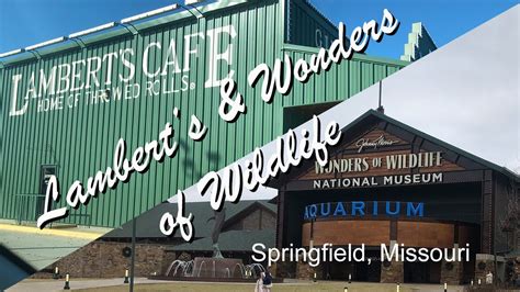 Lambert's cafe springfield - Springfield Botanical Gardens at Nathanael Greene/Close Memorial Park. #2 of 113 things to do in Springfield. 570 reviews. 2400 S Scenic Ave, Springfield, MO 65807-3220. 9.1 miles from Lambert's Cafe.